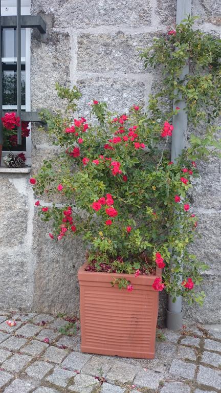 Casa O Torgal Villa Parada del Sil Eksteriør bilde